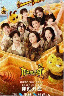 综艺节目快节奏听译版中文字幕条目封面